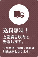 送料無料！ 5営業日以内に発送します。 ※北海道・沖縄・離島は別途送料となります。